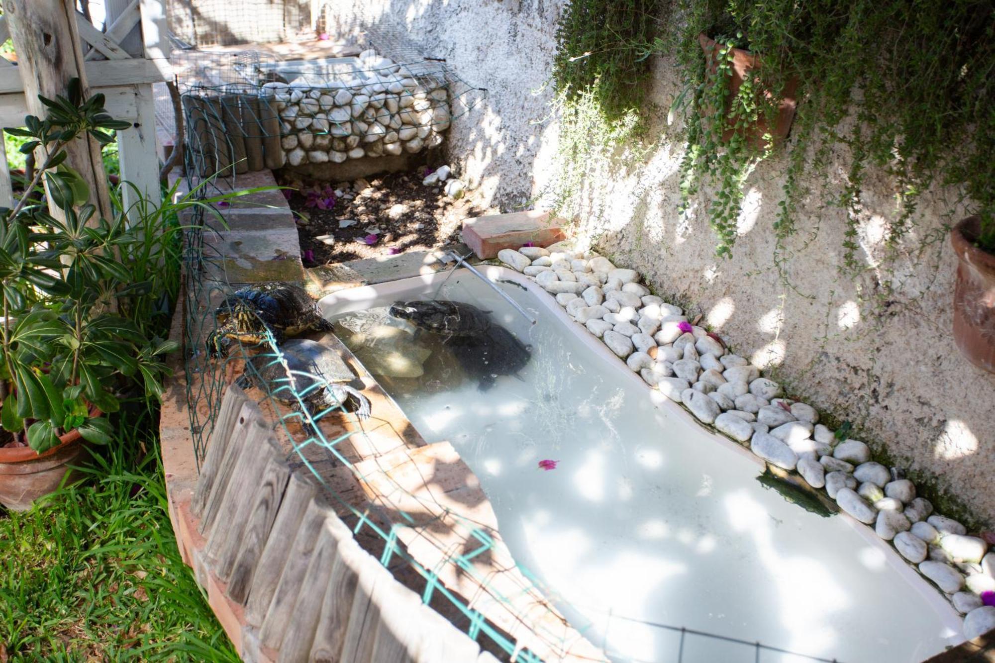 Apartamento Casa Tartaruga Santa Maria di Castellabate Exterior foto